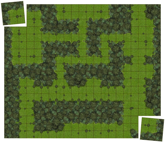 Sample Forests Tiles with Master & Expansion Set Combo